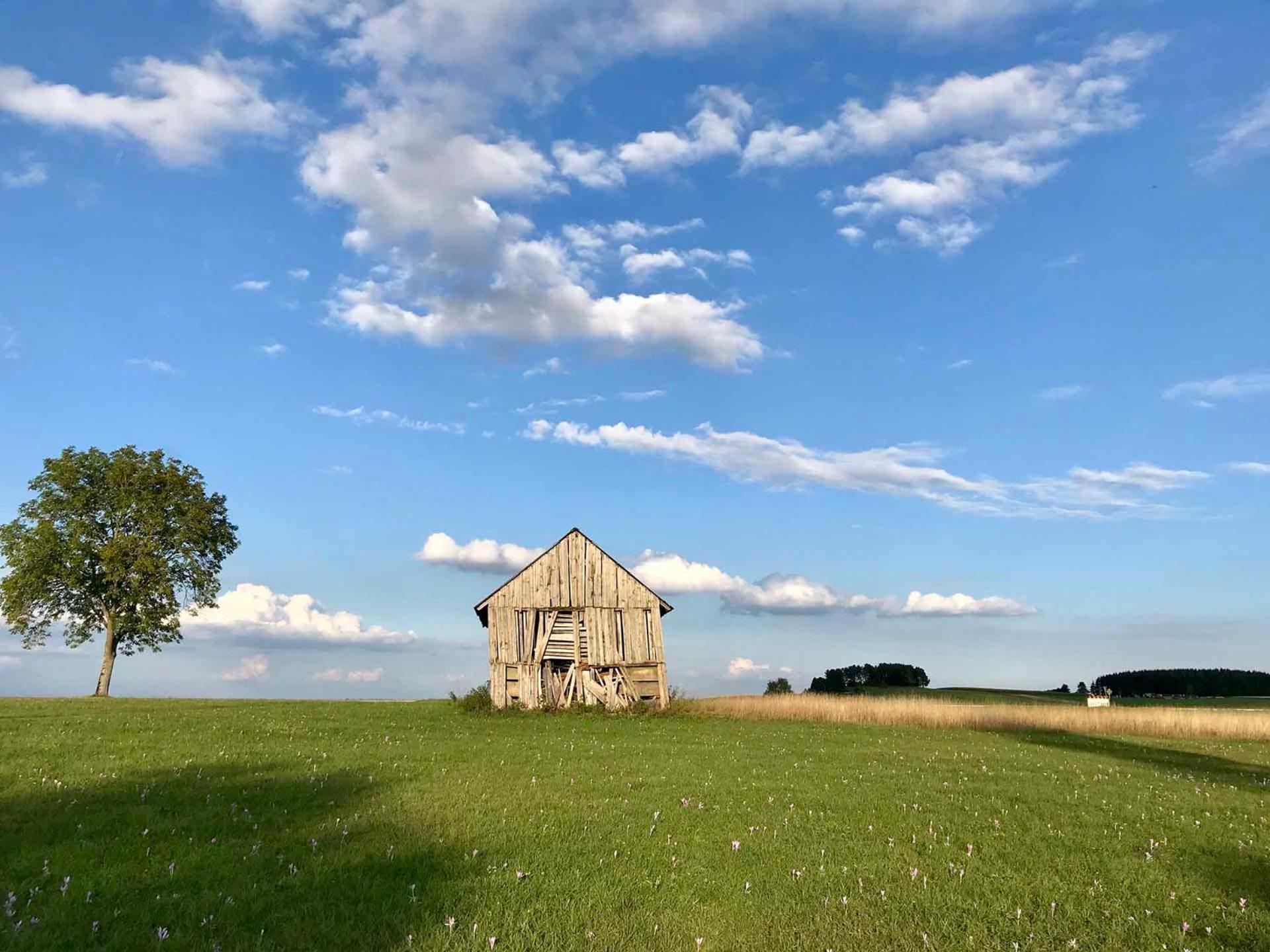 Gaestehaus Roessle Rötenbach Екстериор снимка