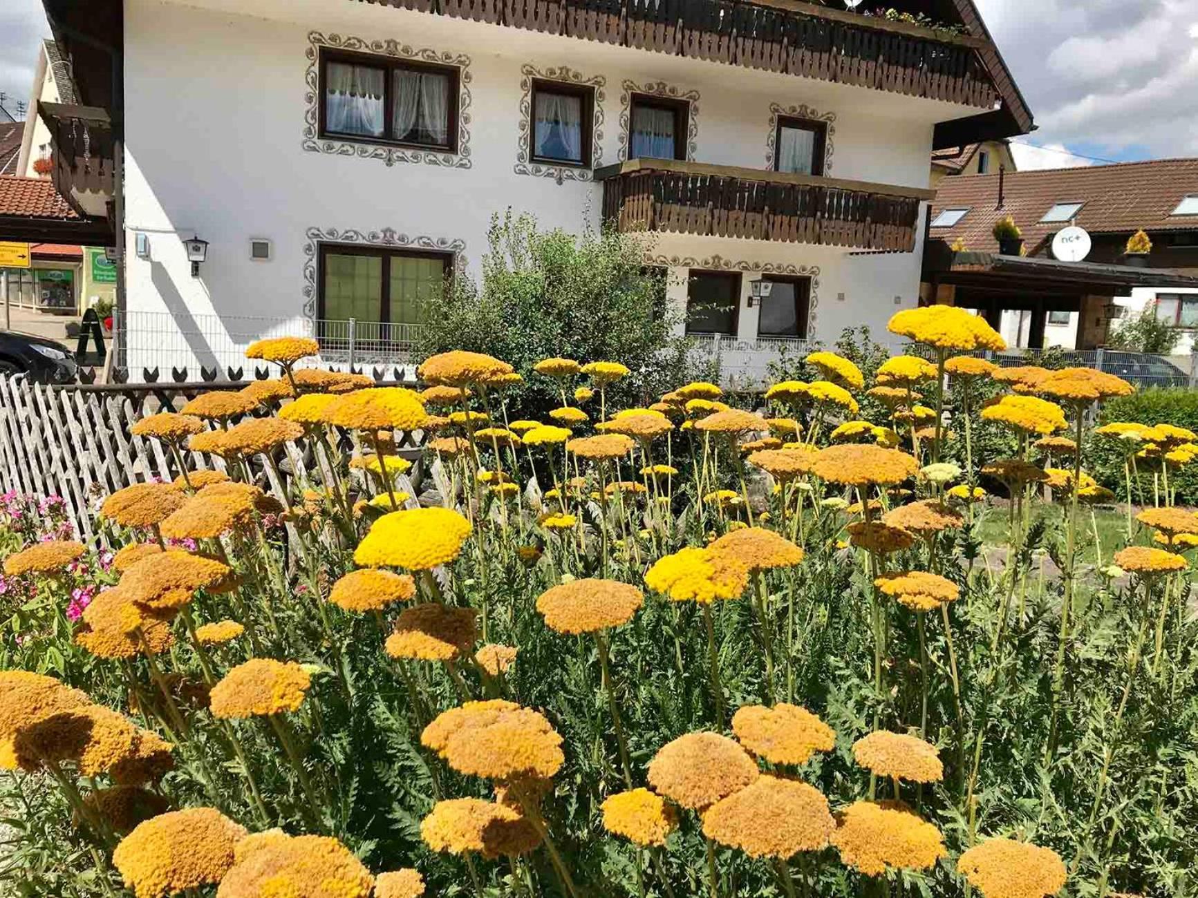 Gaestehaus Roessle Rötenbach Екстериор снимка